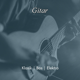 2 gitar